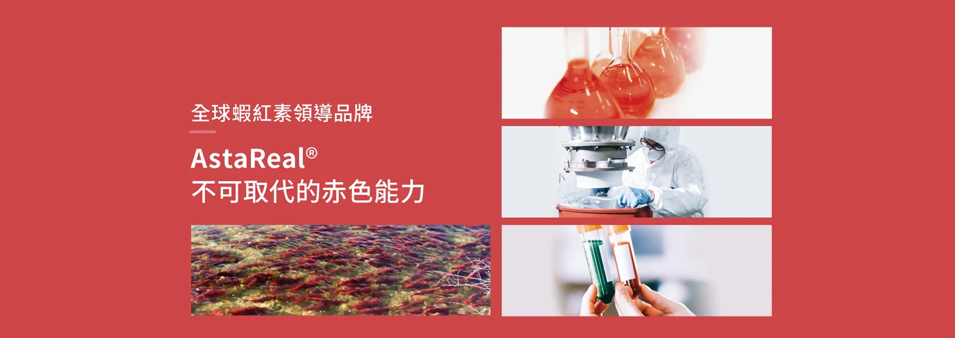 全球蝦紅素領導品牌AstaReal